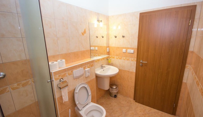 Relax Hotel Pelikán Hluboká nad Vltavou - Dvoulůžkový pokoj